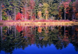 USA, New England, NEW HAMPSHIRE, autumn foliage and lake reflection, US3431JPL