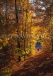 USA, New England, NEW HAMPSHIRE, autumn scenery and walker, US3408JPL