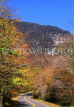 USA, New England, VERMONT, Stowe, fall scenery through Route 100, US2750JPL