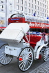 USA, New York, MANHATTAN, horse drawn carriage for hire, sightseeing, US4625JPL