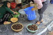 Vietnam, HANOI, Old Quarter, Street Vendors, food, snails for sale, VT957JPL