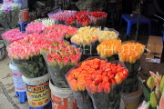 Vietnam, HANOI, Quang Ba Flower Market, VT1050JPL