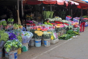 Vietnam, HANOI, Quang Ba Flower Market, VT1051JPL