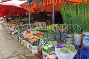 Vietnam, HANOI, Quang Ba Flower Market, VT1053JPL