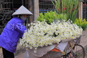 Vietnam, HANOI, Quang Ba Flower Market, VT1055JPL