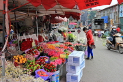 Vietnam, HANOI, Quang Ba Flower Market, VT1056JPL