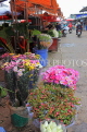 Vietnam, HANOI, Quang Ba Flower Market, VT1060JPL