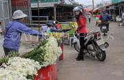 Vietnam, HANOI, Quang Ba Flower Market, VT1061JPL