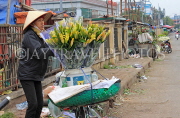 Vietnam, HANOI, Quang Ba Flower Market, VT1062JPL