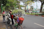Vietnam, HANOI, Street Vendor, flower seller, VT933JPL