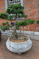 Vietnam, HANOI, Temple of Literature, courtyard, bonsai trees, VT846JPL