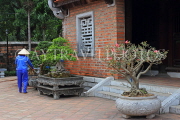 Vietnam, HANOI, Temple of Literature, courtyard, bonsai trees, VT850JPL
