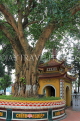 Vietnam, HANOI, Tran Quoc Pagoda, oldest Buddhist temple, in Hanoi, Bodhi tree, VT1004JPL