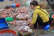 Vietnam, HANOI, outdoor market, fish stall, VT1082JPL