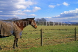 WALES, South Wales, Glamorgan, farm scene, horse and fence, WAL864JPL