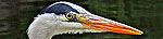 1 Destinations banner 2