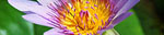 1 Destinations banner 7