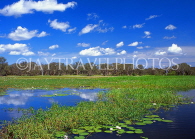 AUSTRALIA, Northern Territory, Kakadu National Park, Yellow Waters billabong, AUS316JPL