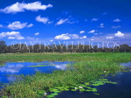 AUSTRALIA, Northern Territory, Kakadu National Park, Yellow Waters billabong, AUS317JPL