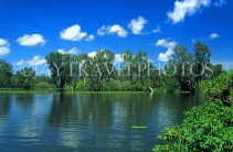 AUSTRALIA, Northern Territory, Kakadu National Park, Yellow Waters billabong, AUS585JPL