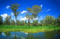 AUSTRALIA, Northern Territory, Kakadu National Park, Yellow Waters billabong, AUS588JPL