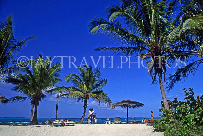 BAHAMAS, New Providence Island, Cable Beach and palm trees, BAH232JPL