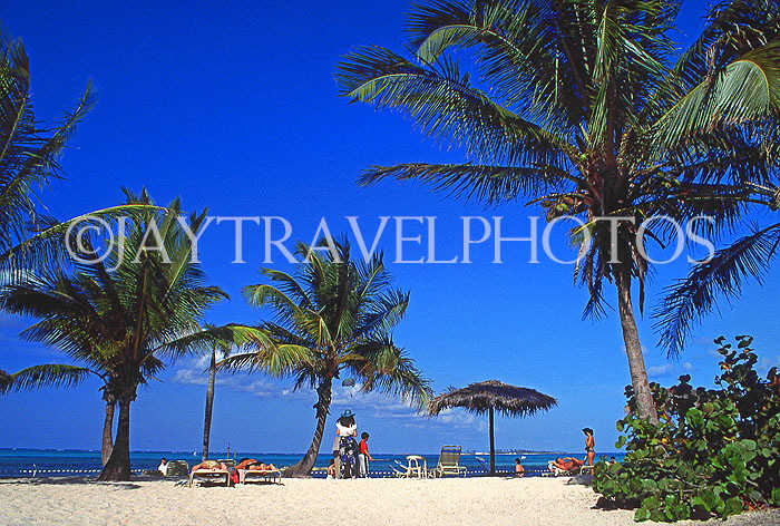 BAHAMAS, New Providence Island, Cable Beach and palm trees, BAH233JPL