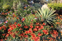 BAHRAIN, Al Areen Wildlife Park, landscaped gardens, flowers, BHR1974JPL