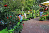 BAHRAIN, Budaiya, Farmers' Market, flower stalls, BHR2050JPL