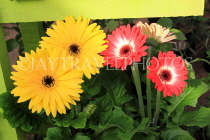 BAHRAIN, Budaiya, Farmers' Market, flower stalls, BHR2051JPL