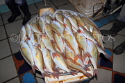 BAHRAIN, Manama, Central Market, Fish Market, BHR1702JPL
