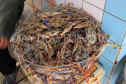 BAHRAIN, Manama, Central Market, Fish Market, Crabs, BHR1697JPL