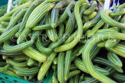BAHRAIN, Noor El Ain, Garden Bazaar, Farmers Market, Cucumbers, BHR1793JPL