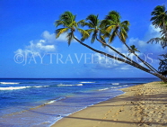 BARBADOS, West Coast, beach and leaning coconut trees, BAR1291JPL