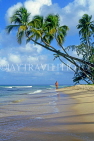 BARBADOS, West Coast, beach and leaning coconut trees, BAR157JPL