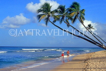 BARBADOS, West Coast, beach and three coconut trees, BAR153JPL