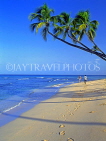 BARBADOS, West Coast, beach and three coconut trees, BAR427JPL