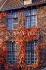 Belgium, BRUGES, ivy covered house front, in autumn, BEL296JPL
