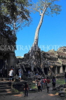 CAMBODIA, Angkor, Preah Khan Temple, Strangler Fig Tree engulfing ruins, CAM1178JPL
