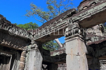 CAMBODIA, Angkor, Preah Khan Temple, bas-relief carvings, CAM1190JPL