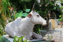 CAMBODIA, Phnom Penh, Wat Ounalom, temple site, bull sculpture, CAM1630JPL
