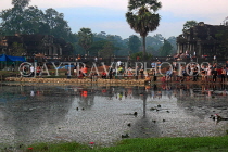 CAMBODIA, Siem Reap, Angkor Wat, tourists gathered to watch the sunrise, CAM388JPL