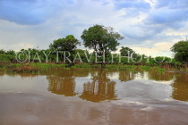 CAMBODIA, Tonle Sap Lake, scenery and trees, CAM926JPL