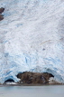 CANADA, British Columbia, Bear Glacier along highway near Stewart, CAN764JPL