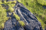 CANADA, British Columbia, Prince Rupert, legend of 'man who fell from heaven' rock carving, CAN837PL
