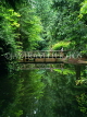 CANADA, British Columbia, VANCOUVER, Capilano Suspension Bridge Park, Nature Park, small bridge, CAN310JPL