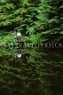 CANADA, British Columbia, VANCOUVER, Capilano Suspension Bridge Park, Nature Park, small bridge, CAN929JPL