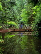 CANADA, British Columbia, VANCOUVER, Capilano Suspension Bridge Park, Nature Park, small bridge, CAN935JPL