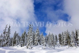 CANADA, British Columbia, VANCOUVER (North), Mount Seymour Provincial Park, Winter, CAN799JPL