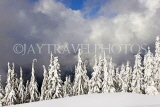 CANADA, British Columbia, VANCOUVER (North), Mount Seymour Provincial Park, Winter, CAN802JPL